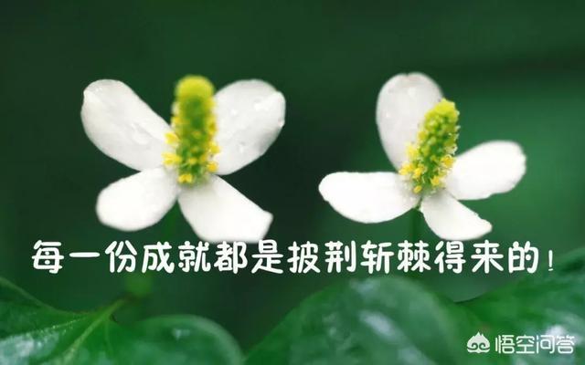 淡然的图片:有哪些<a href=https://maguai.com/list/256-0-0.html target=_blank class=infotextkey>朋友圈</a>最精辟的哲理句子配图？(有意思的<a href=https://maguai.com/list/256-0-0.html target=_blank class=infotextkey>朋友圈</a>带图片)