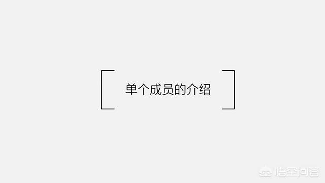 有哪些适用于介绍组员的PPT模板？