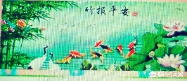 什么是城镇化,该如何理解？