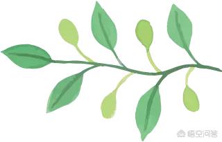 爱情重跑日剧:和《东京爱情故事》一样经典好看的日剧有哪些好的推荐？