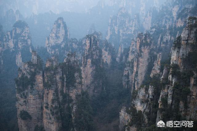 神农架穿越死了多少人，神农架发现“驴头狼”，早已灭绝50万年的生物，为何又突然出现