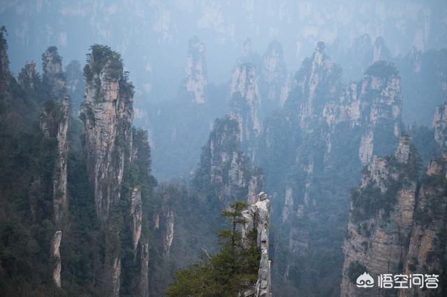 神农架穿越死了多少人，张家界和神农架相比，哪里更好玩