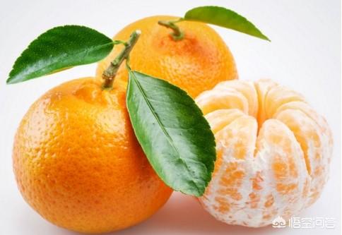 吃橘子补肾吗，肾功能不好的人在饮食上需要注意什么能不能吃橘子