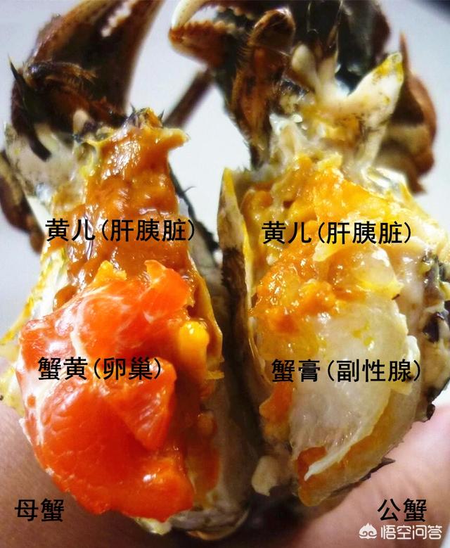 正直爱洁蟹:青岛市黄岛区绿岛湾海鲜馆加工9斤螃蟹900元，对此你怎么看？
