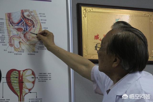 瘤尾守宫:瘤尾守宫价格 预防前列腺癌的方法是什么？