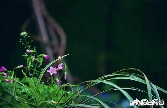 梦见家里被盗了，是怎么回事？