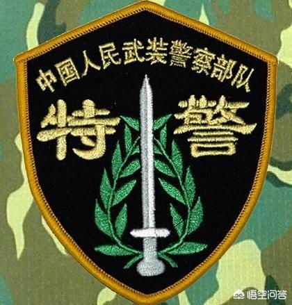 武警、特警和特种部队有什么区别？什么情况出动武警、特警和特种部队？插图52