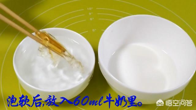 深圳狗狗网红:网红狗狗排名 博美犬为什么能够成为“网红狗”，真正的原因是什么？