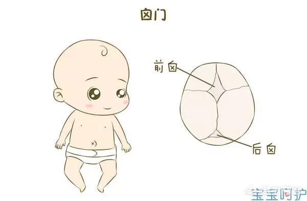 如何正确的给孩子补钙?(149个回答)