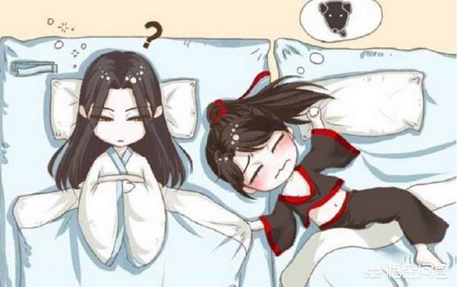 《魔道祖师》里忘羡的婚后生活是怎样的？你如何评价？