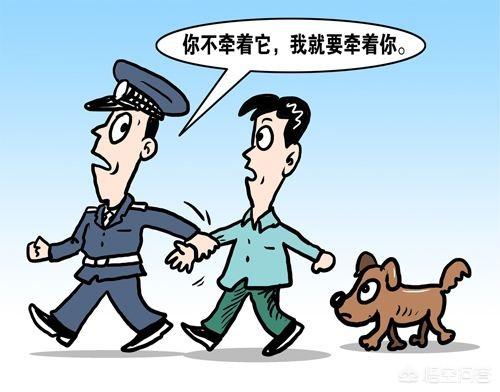 德牧新闻:为什么有的中国人遛狗不牵绳？