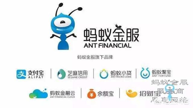 联合创业集团，紫荆文化集团对应什么行政级别