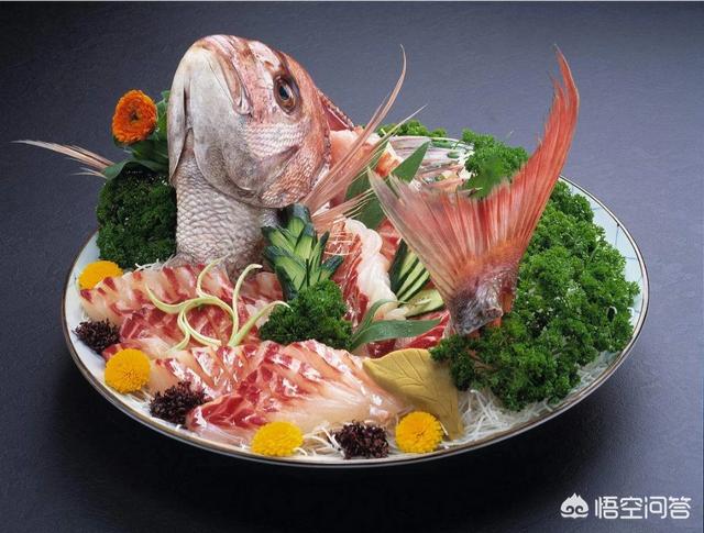 头条问答 日本鱼王 鲷鱼 是怎样的存在 澹奕的回答 0赞