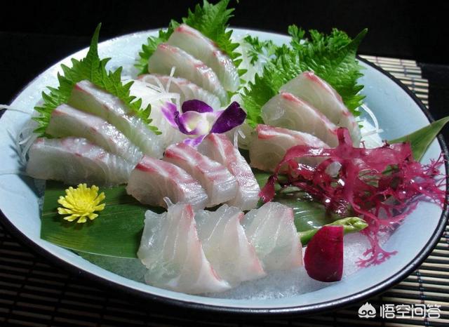头条问答 日本鱼王 鲷鱼 是怎样的存在 澹奕的回答 0赞