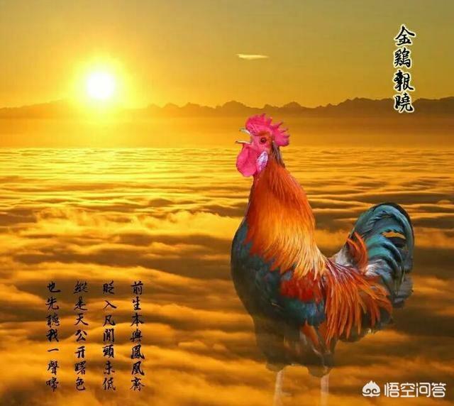 苏醒藏头诗:如何用“东方明珠”这几个字作一首藏头诗
