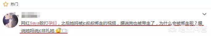 遛狗网红saya微博:对于前几日热议的焦点“殴打孕妇”的网红，你怎么看？ 网红saya遛狗不牵绳