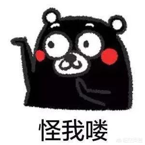 丰子恺的简介:如何评价丰子恺这位作家？