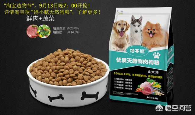 怎么训练狗大小便啊:怎样训练博美犬定点大小便？