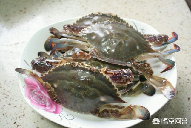 哪种螃蟹肉质鲜产肉率还高，你认为是梭子蟹好吃还是大闸蟹好吃