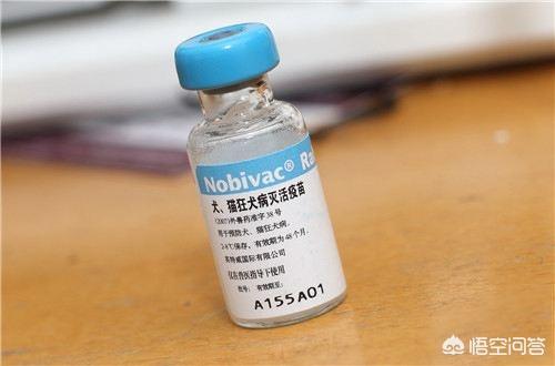 狂犬病发病率:如果给每只猫狗都注射狂犬病疫苗，能否消灭狂犬病？