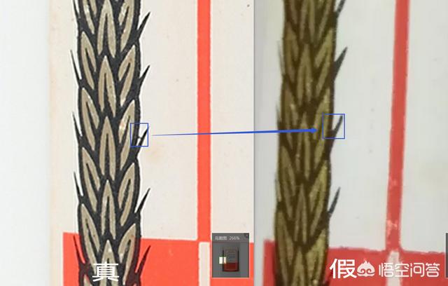 如何鉴别茅台酒的真伪,这是真的茅台吗？如何鉴别真伪？