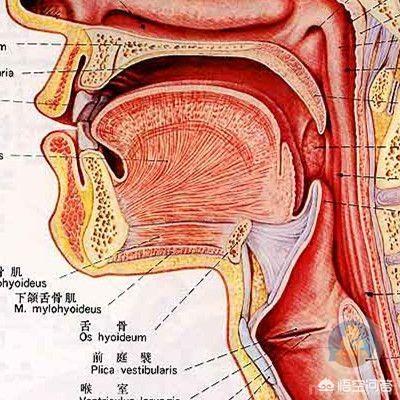 咽喉炎治疗(咽喉炎治疗最快的办法)