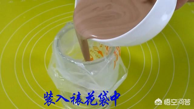 深圳狗狗网红:网红狗狗排名 博美犬为什么能够成为“网红狗”，真正的原因是什么？