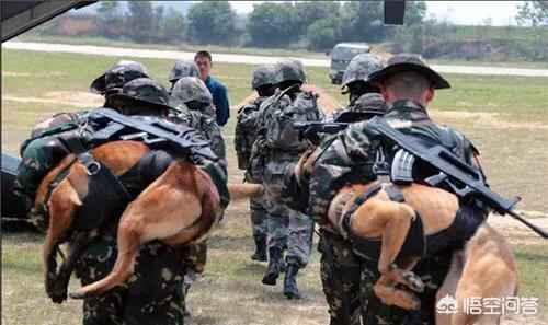 武警特种部队与陆军特种部队有什么区别？哪个的作战能力更强？插图16