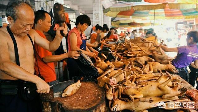 吃狗肉对女人有啥好处，广东人为什么会爱吃狗肉煲？
