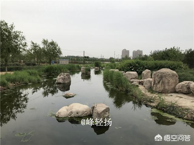 赵县柏林寺灵异事件:石家庄有什么免费的景点或便宜好玩的地方？