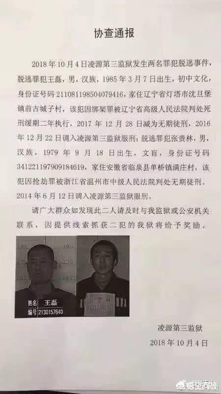 辽宁发生重刑犯逃狱案,其中一人为死缓犯,他被抓回后会被执行死刑吗?