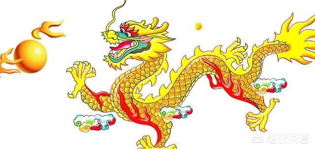 真龙的存在有真实案例，中国历史上有没有“龙”的存在呢