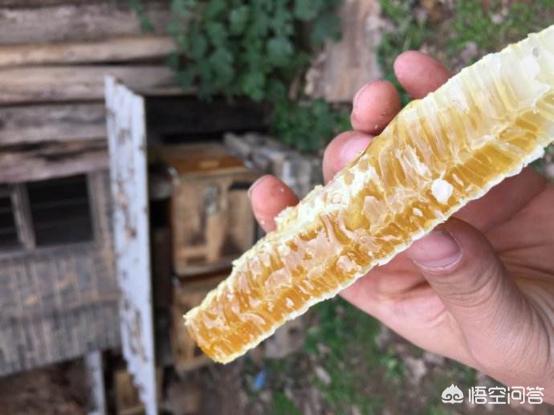 头条问答 有些超市里500g的蜂蜜卖元左右 你觉得是真的蜂蜜吗 深山老农民的回答 0赞