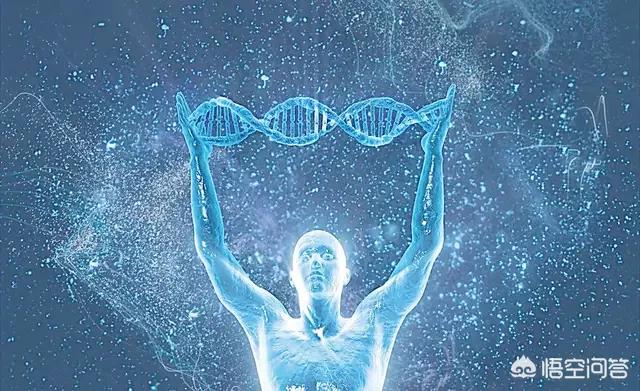 人类起源的传说:谁能言简意赅地阐述一下佛教经典中关于人类起源的故事？