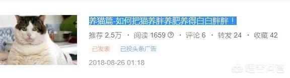 猫主食罐:猫咪不吃主食罐头怎么办？