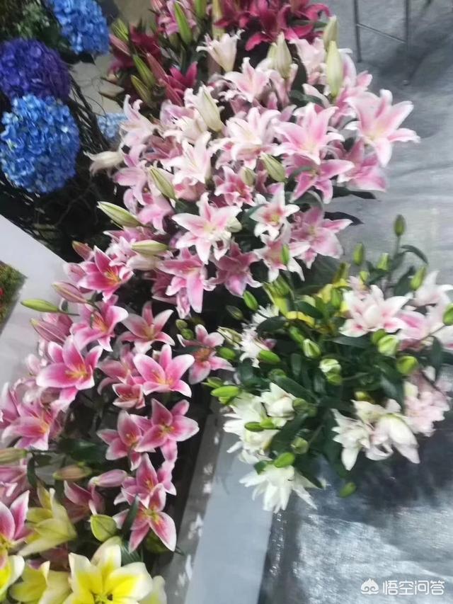 橙红年代评价:如何评价马思纯在电视剧《橙红年代》中饰演的角色胡蓉