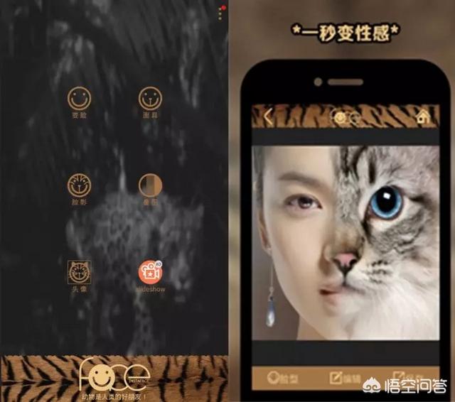 手机上好玩的软件有哪些（一些有趣好玩又实用的手机app）