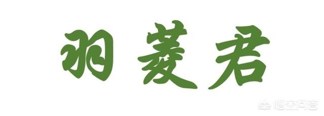 金庸小说中，乔峰和洪七公同为丐帮帮主，谁的武功更高？