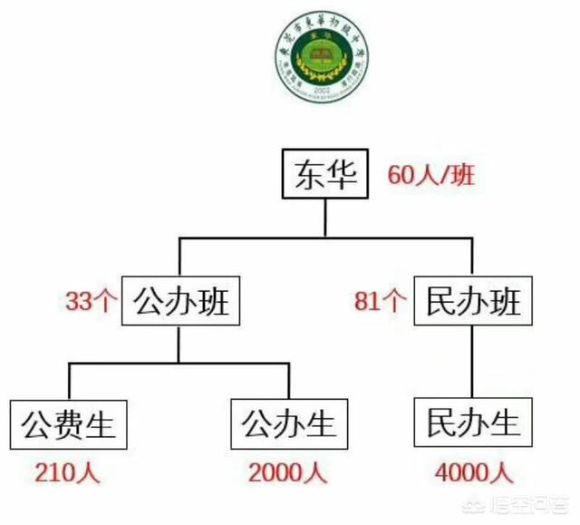 广东东莞哪个初中比较好？为什么？
