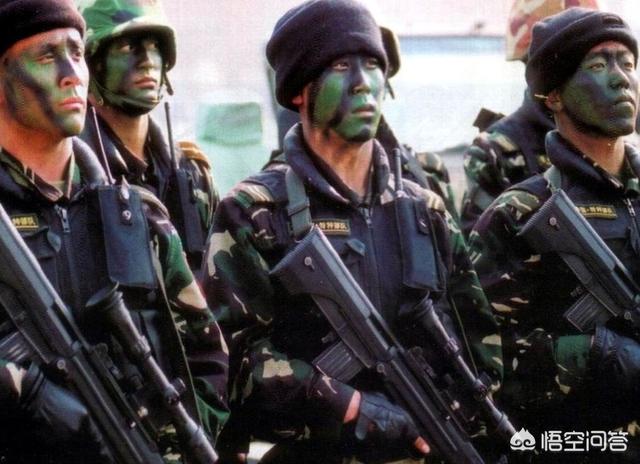 武警特种部队与陆军特种部队有什么区别？哪个的作战能力更强？插图75