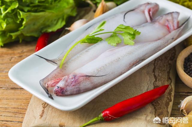 当地俗语中还有一句话叫"殿鱼硬支嘴",就是说龙头鱼全身都软,就嘴巴最