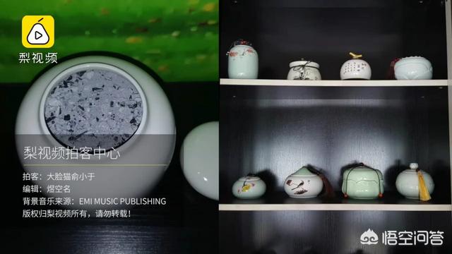 从上海宠物火化:宠物殡葬在中国是否可行？环保无污染的火化方式是否可以推广？