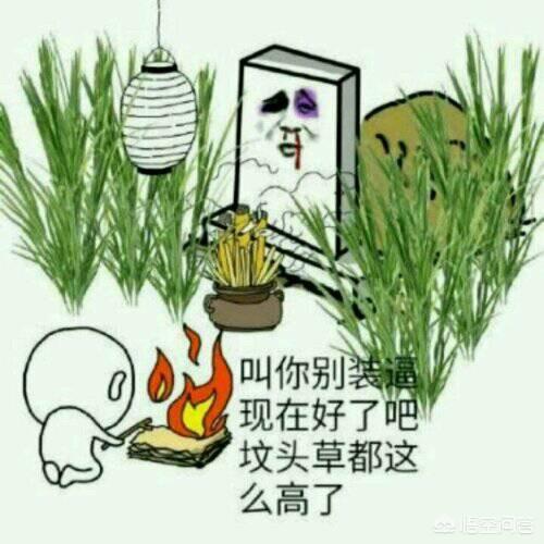 手上有2万元闲钱,现在开淘宝店来得及吗？