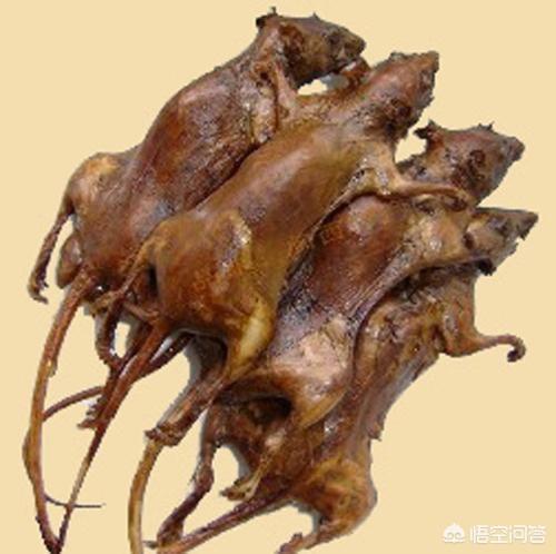 听说福建有许多重口味食物，到底是哪些