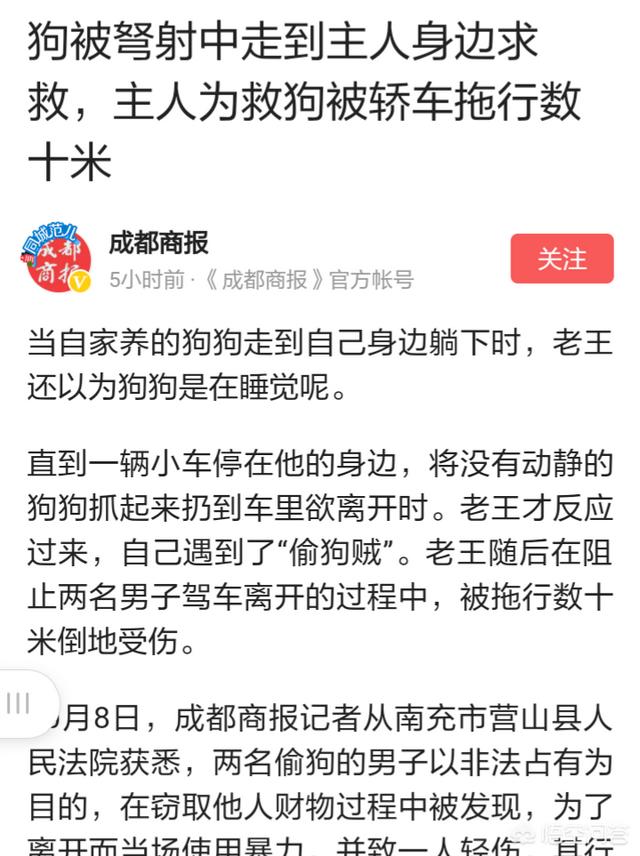 熟狗肉有狂犬病毒吗?:爱吃狗肉的人会得狂犬病吗？