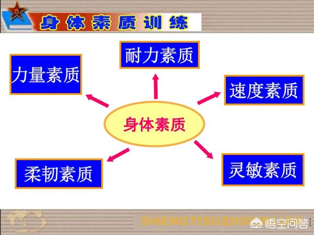 泰拳爆发力训练:泰拳爆发力训练 下载 如何提升泰拳中拳肘膝腿的爆发力？