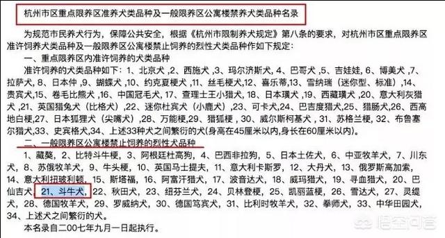 遛狗网红saya微博:对于前几日热议的焦点“殴打孕妇”的网红，你怎么看？ 网红saya遛狗不牵绳