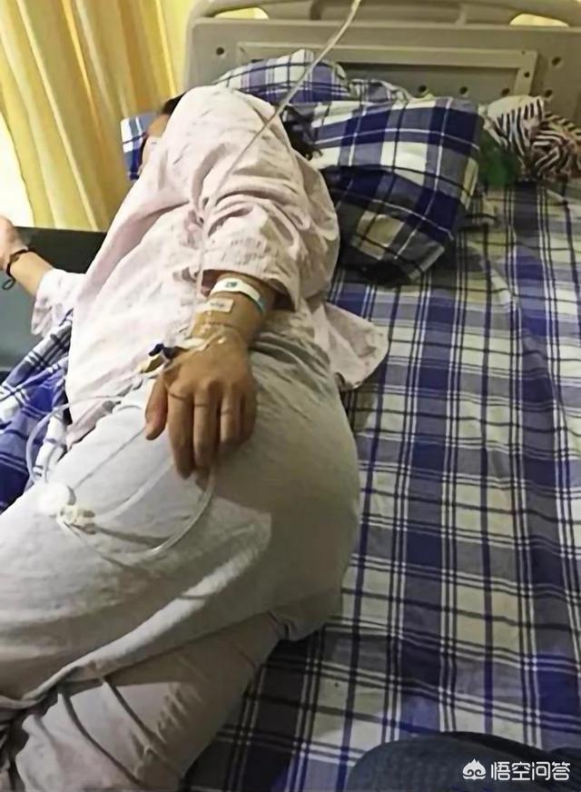 遛狗网红saya微博:宁波因狗吠杀死3人的男子，如果杀死的是狗，后果会如何？ 遛狗打孕妇的网红saya
