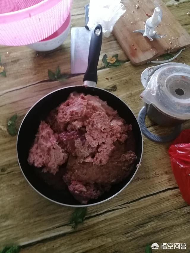 猫主食罐:猫咪不吃主食罐头怎么办？