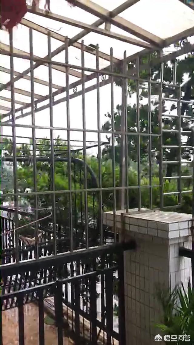 小时候听说12级台风都很恐怖了,现在都18级了。到底最大多少级？